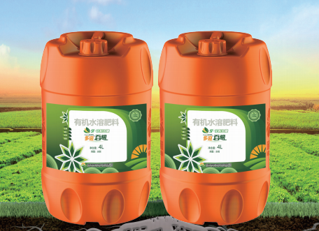 多迎百根