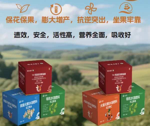 天然芸苔素甾醇 花之果