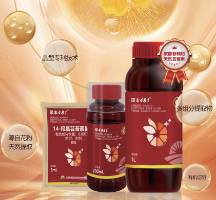 天然芸苔素甾醇 硕丰481